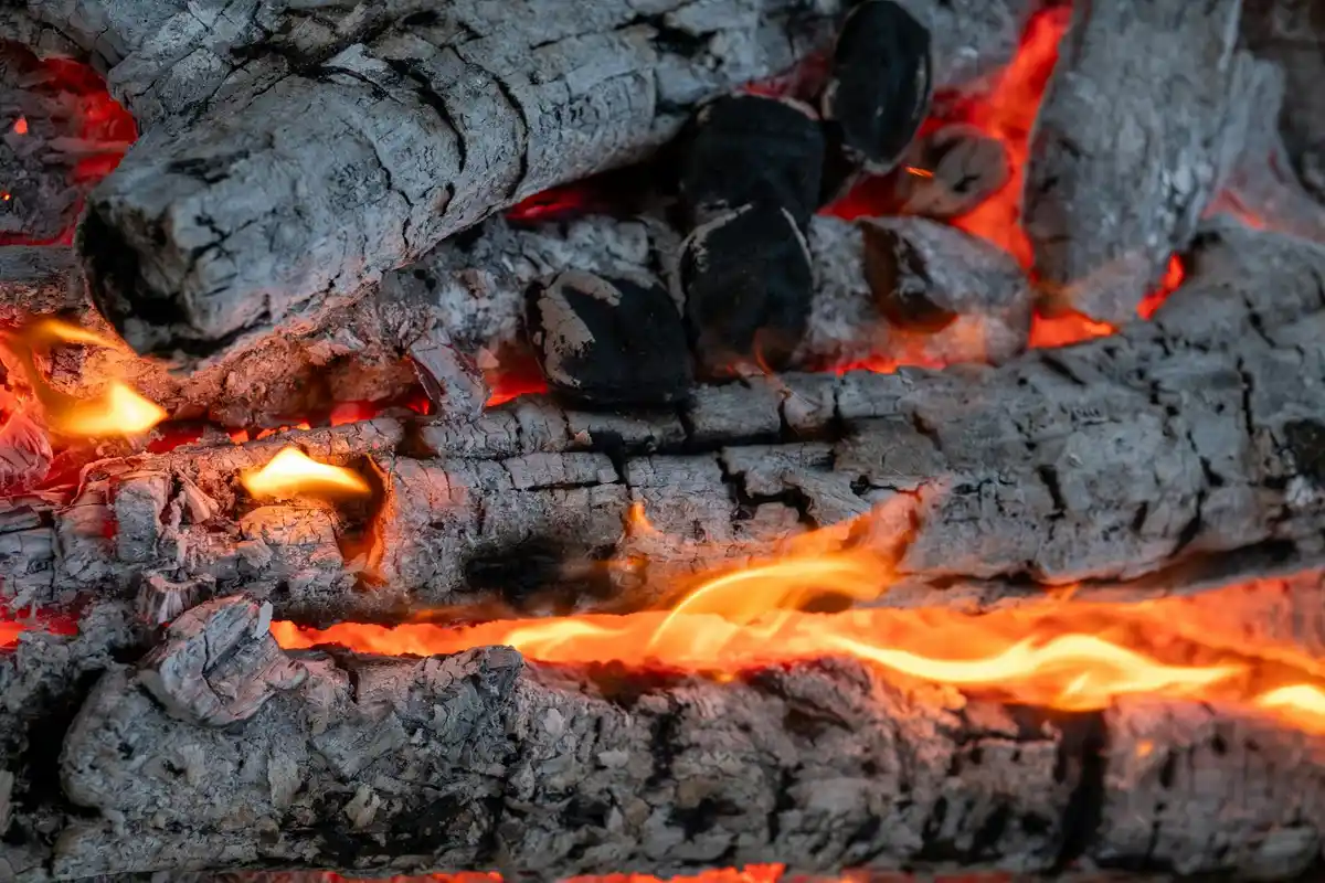 Glowing embers and charred ash logs in a wood fire, illustrating ash wood burning.