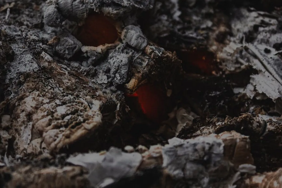 Close-up of ash and glowing embers from a wood-burning fire.