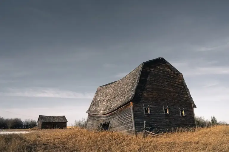 Two weathered wooden barns in a dry grassy field under a cloudy sky