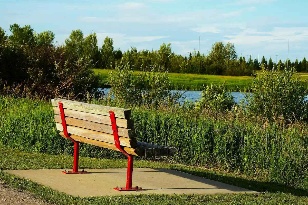 A wooden park bench on a paved path beside a grassy field and a body of water