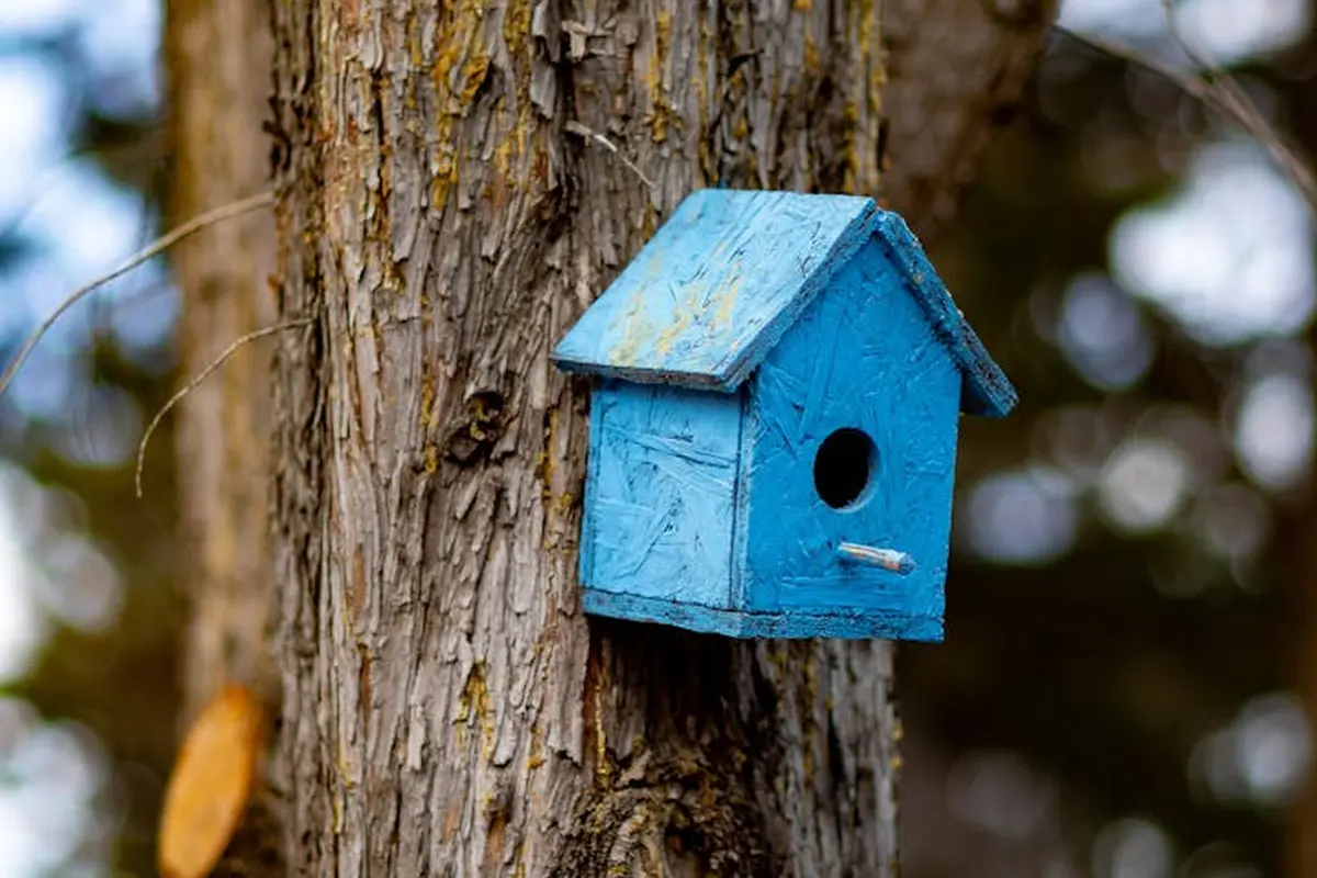 Blue wooden birdhouse mounted on a textured tree trunk