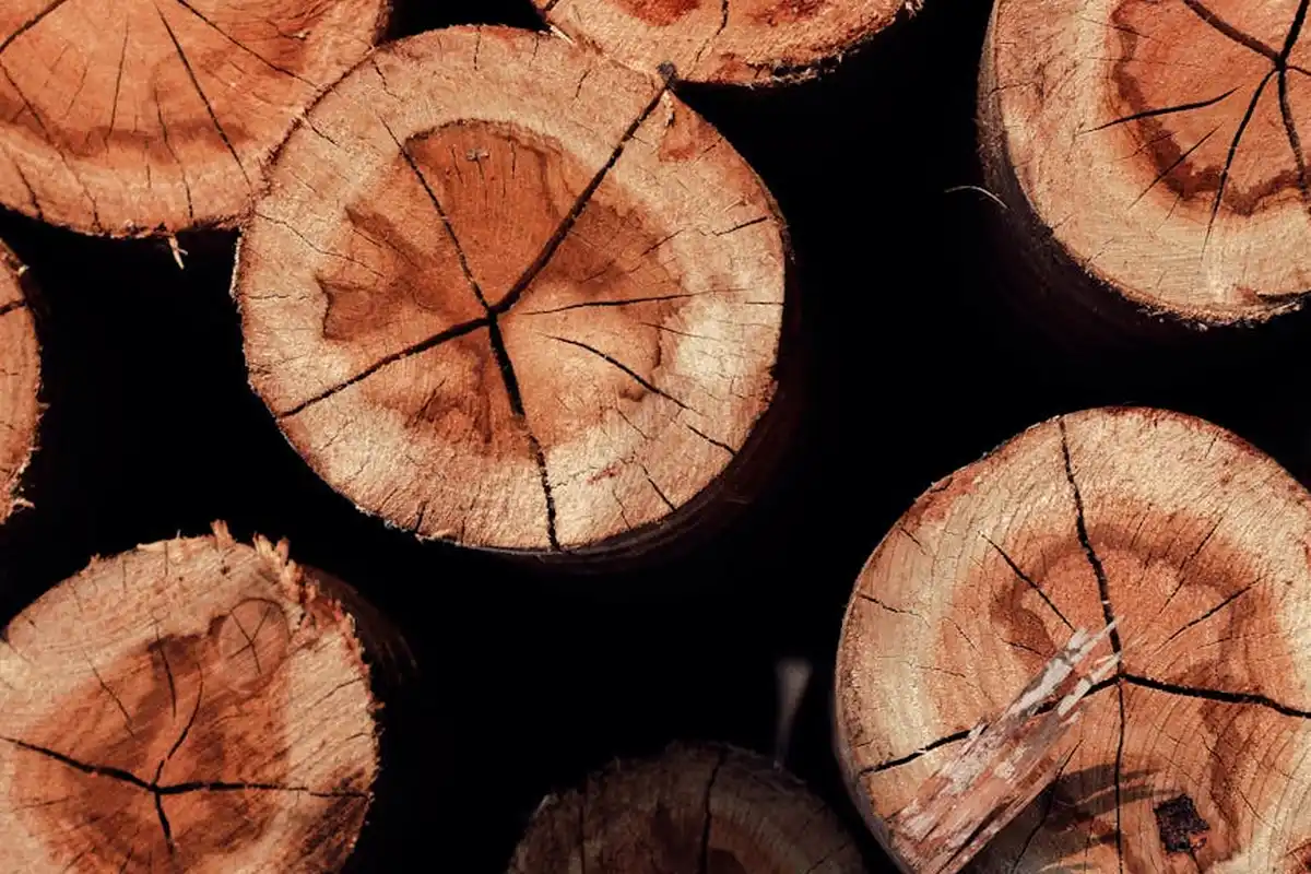 Close-up of circular log ends with visible growth rings and cracks, stacked to emphasize air space between lumber pieces