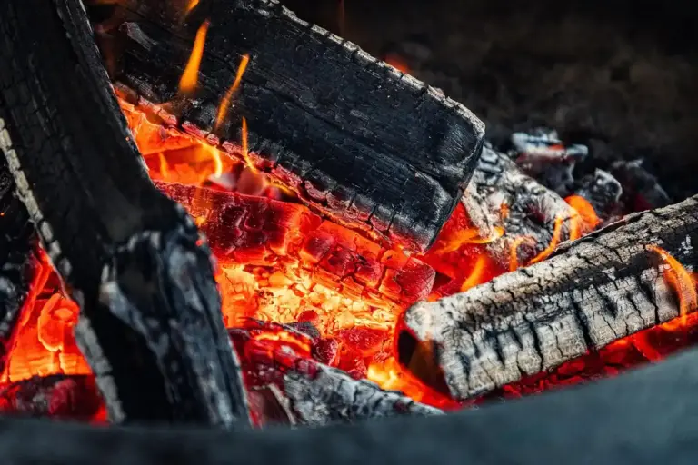 Close-up view of glowing embers and charred logs in a wood fire.