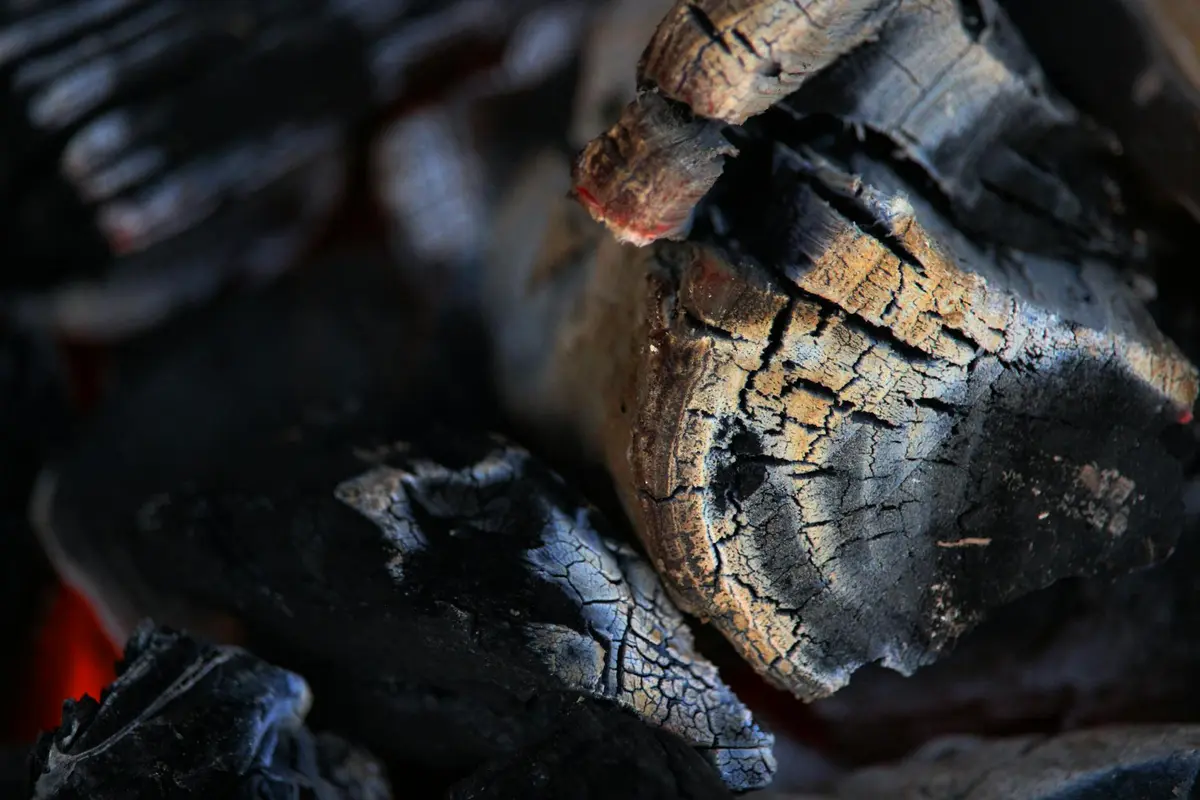 Close-up of charred ash wood with cracked surface and subtle glowing embers