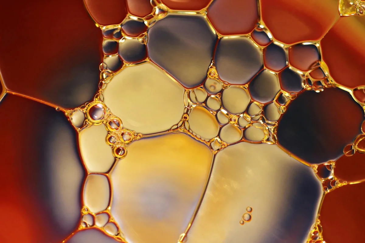 Macro close-up of colorful oil droplets forming interconnected shapes on a surface