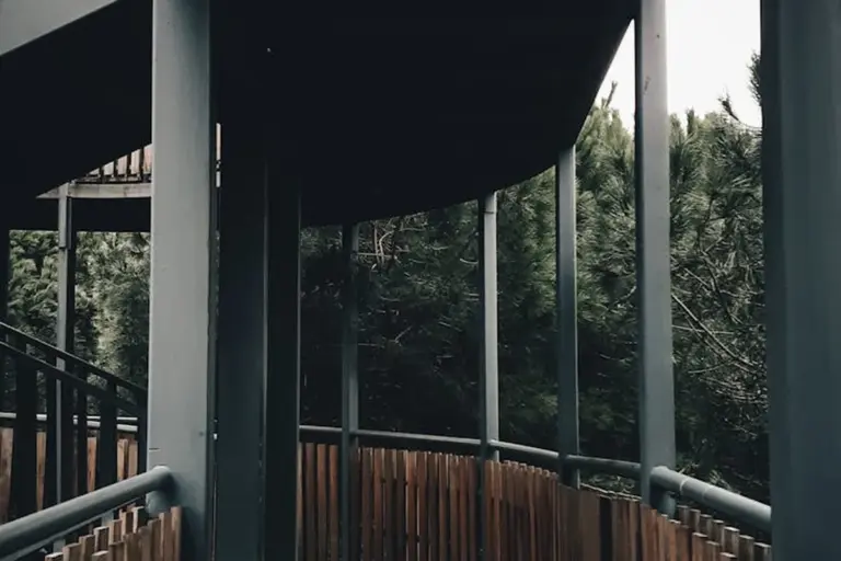 Outdoor curved walkway with a curved roof supported by vertical steel columns and a wooden railing, set among trees.