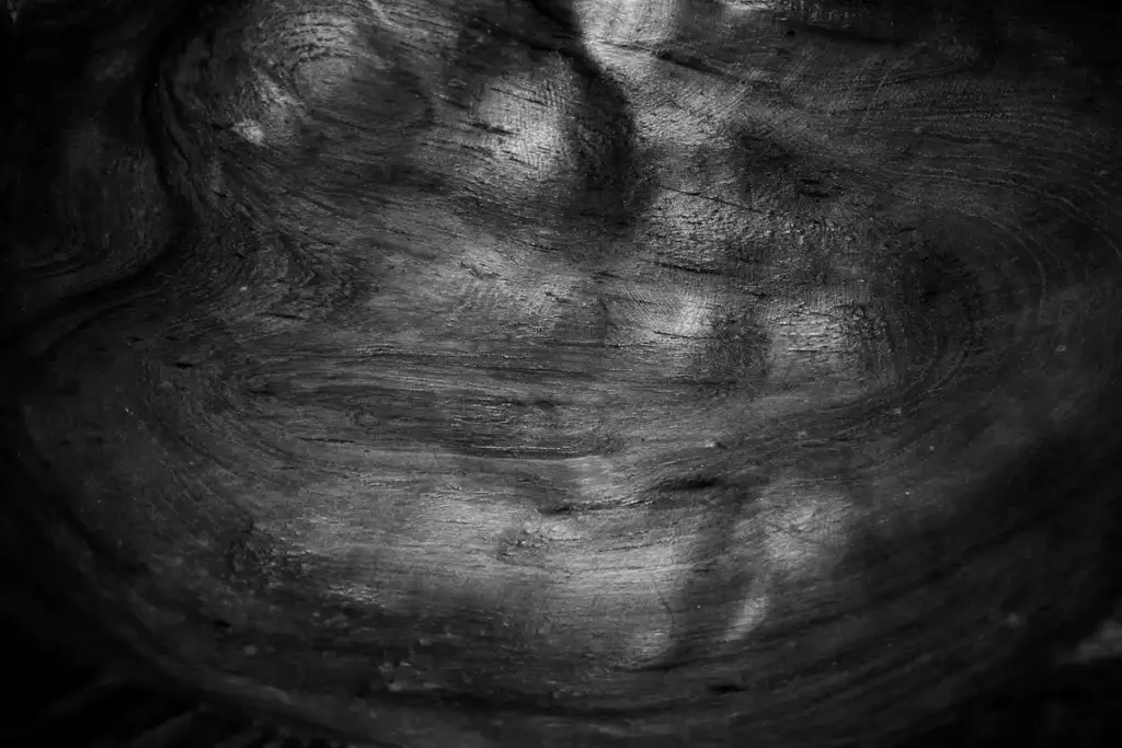 Walnut vs. Mahogany: Which Dark Wood Performs Best in Your Shop?