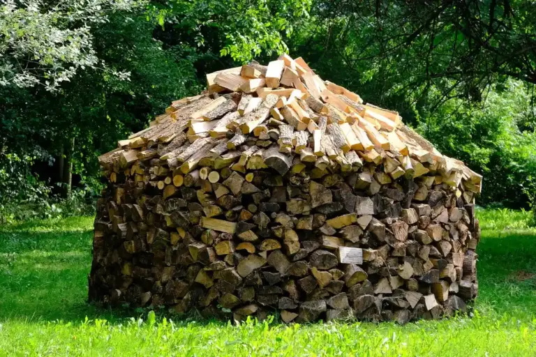 Pile of stacked firewood logs outdoors on a grassy clearing with trees in the background.