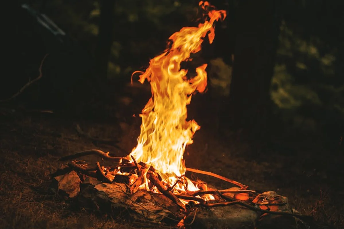 A campfire with bright orange flames burning stacked wood inside a stone ring in a dark forest
