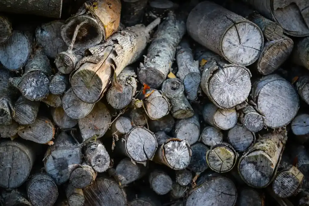 How Does Hickory’s High Density and Hardness Control Its Heat and Smoke?
