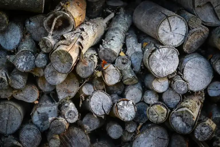 Stack of round-cut hickory logs piled together, ready for burning or smoking.