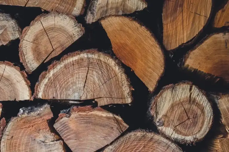 Stacked cross-sections of cut logs showing growth rings and texture.