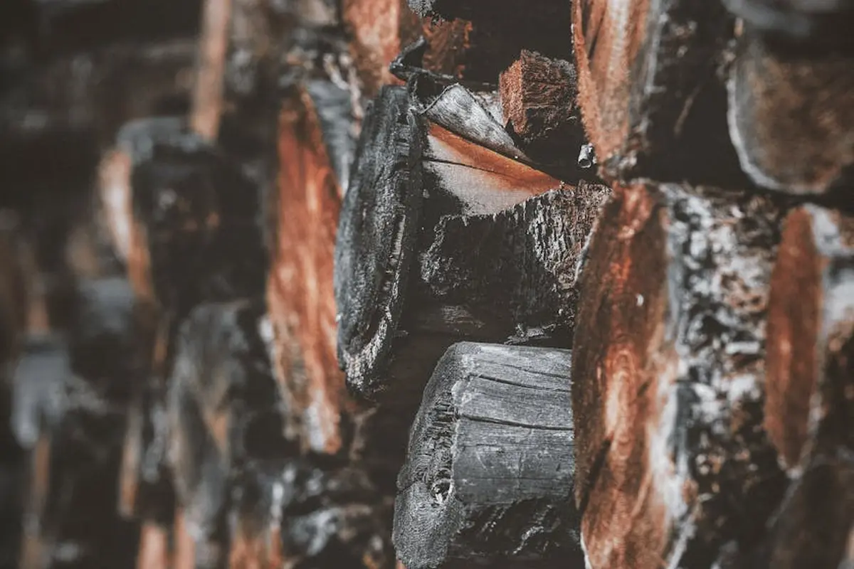 Close-up of stacked logs showing rough bark and ends, illustrating the need for dry, well-ventilated lumber storage