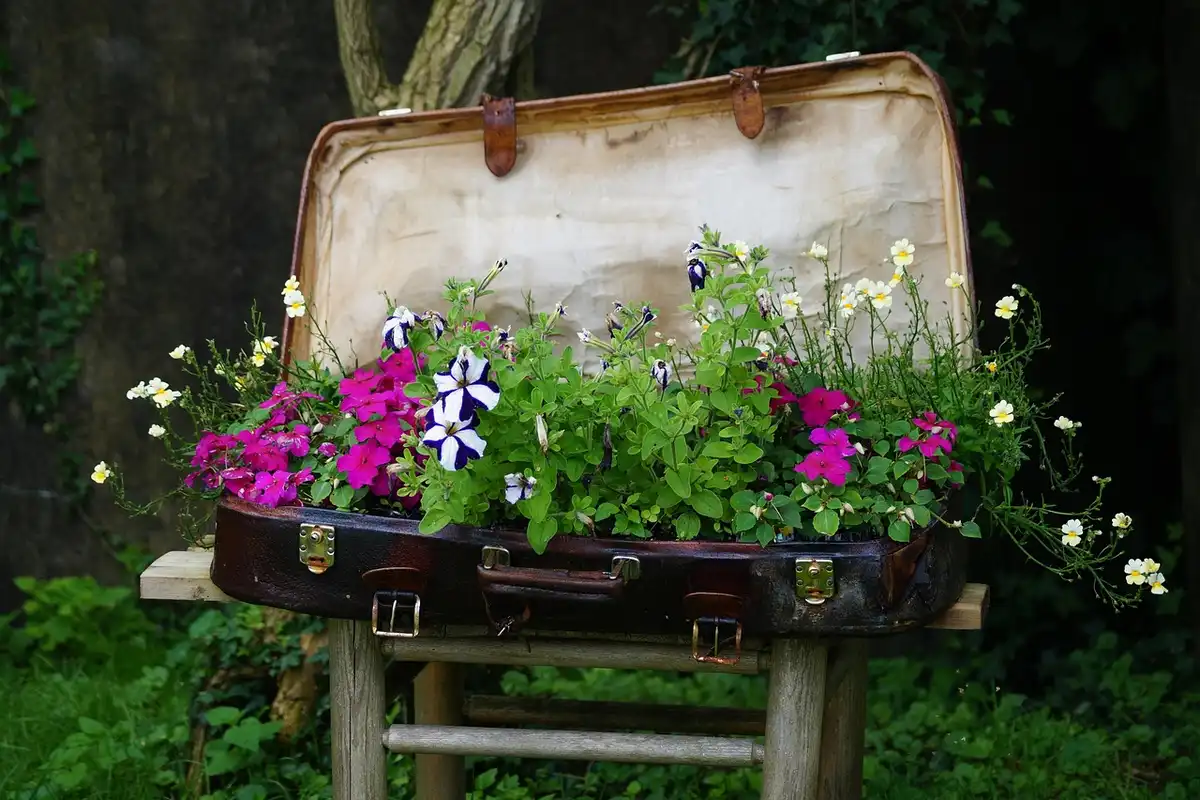 Open vintage suitcase filled with colorful flowers arranged as a raised garden bed outdoors on a wooden stand.