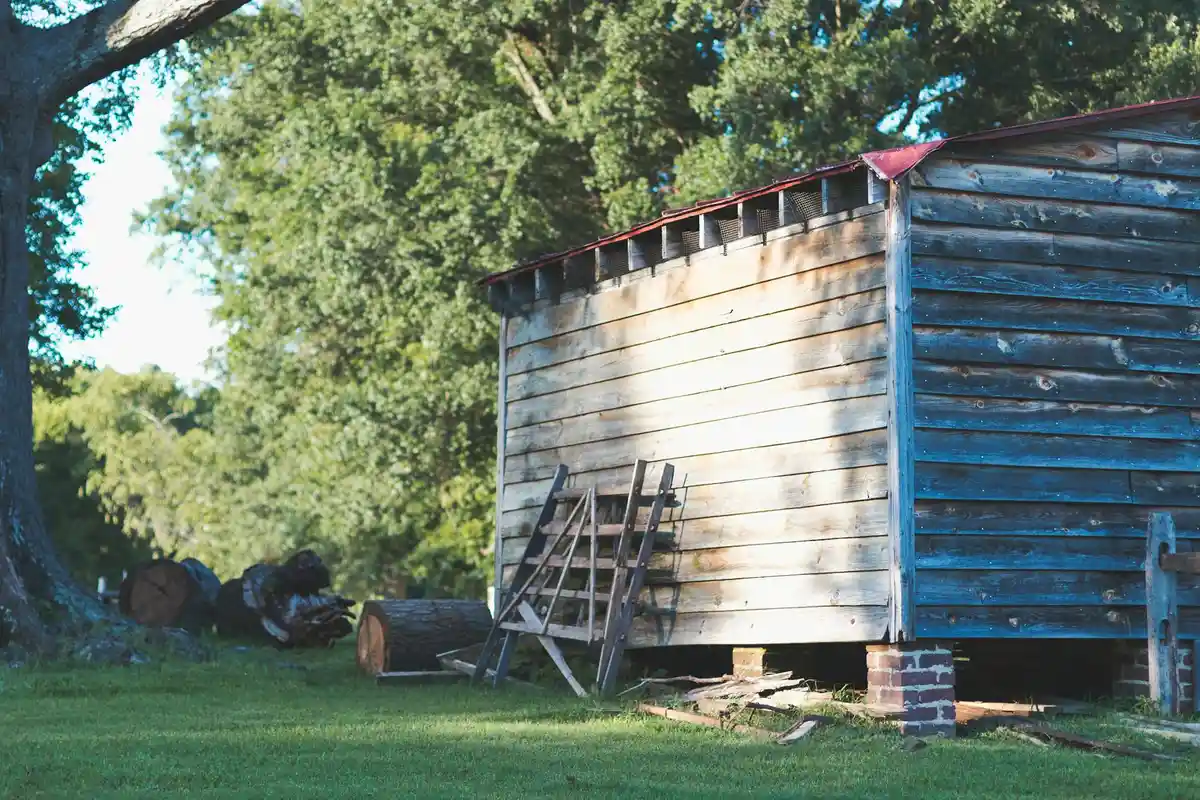 Weathered wooden shed in a grassy yard with a ladder leaning against the side.