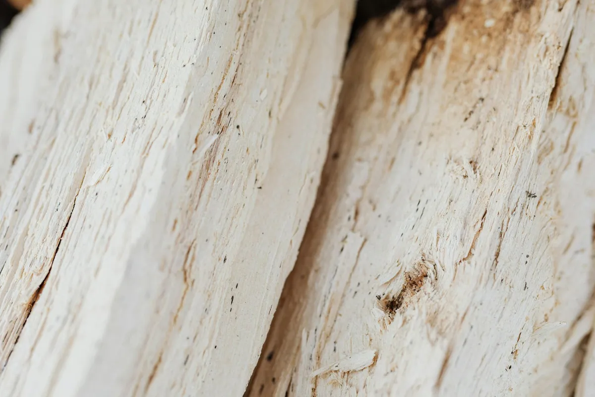 Close-up of pale pine wood with visible grain and subtle knots