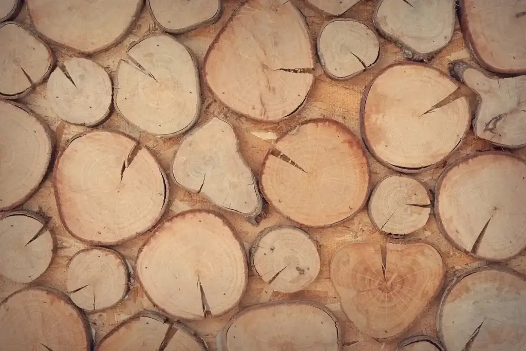How Do Pre-Stain Conditioners Actually Control Wood Pores and Stain Absorption?