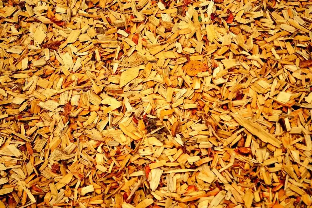 How Do You Dispose of Pressure-Treated Wood Without Breaking the Law or the Environment?
