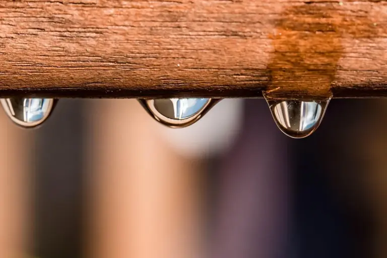 Close-up of wood boards with moisture droplets on the surface, illustrating moisture on pressure-treated wood