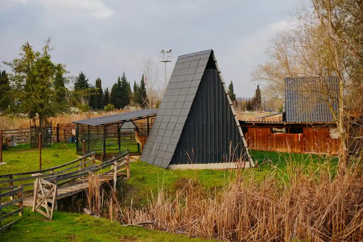 Outdoor rural scene with a triangular-roof shelter and other weathered wooden structures in a field, illustrating reclaimed barn wood settings.