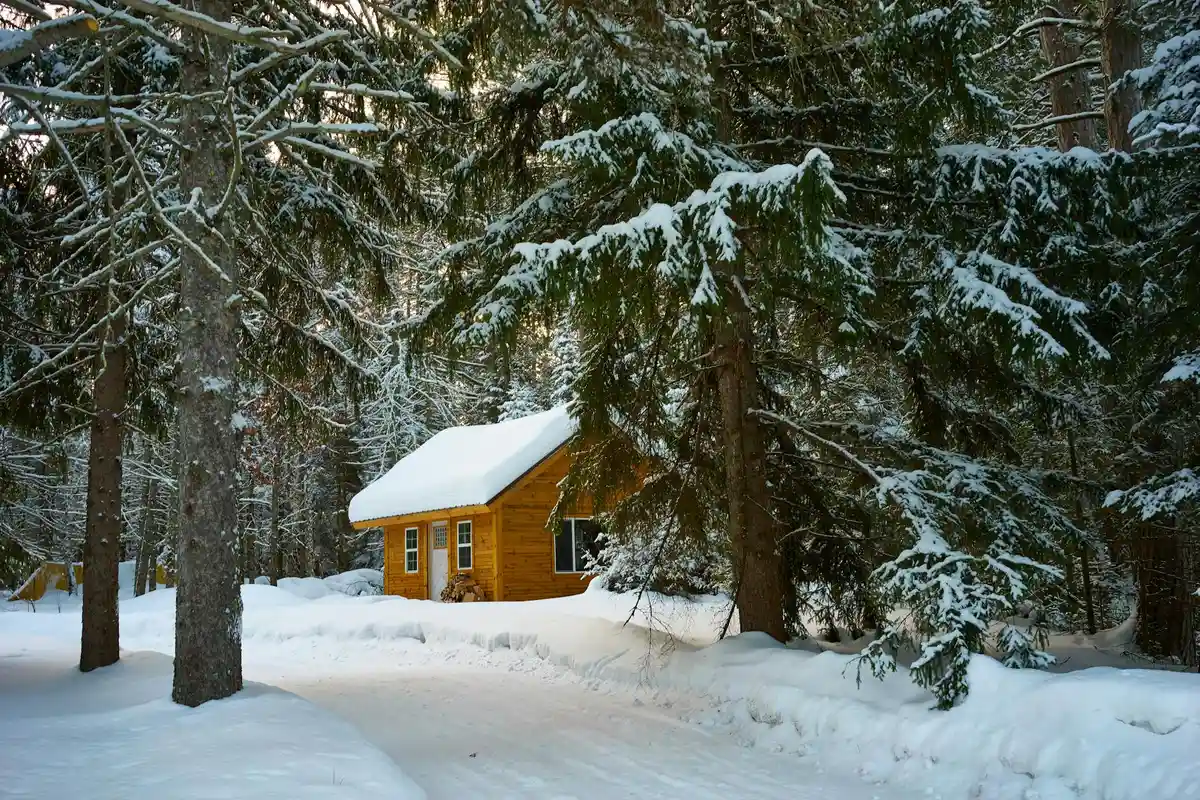 A small wooden cabin covered in snow surrounded by tall evergreen trees in a winter forest