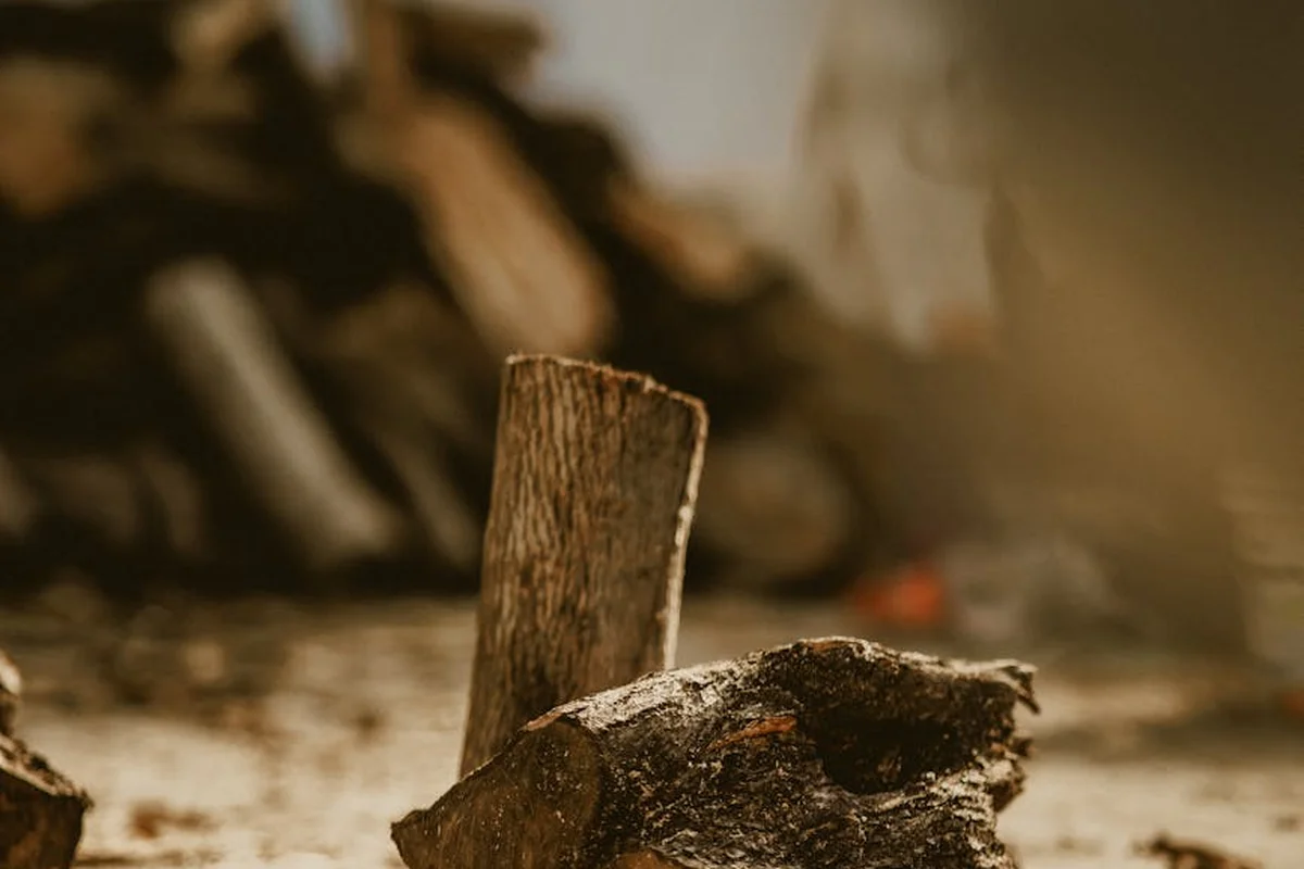 A weathered piece of wood rests on a workshop surface with a blurred stack of logs in the background.