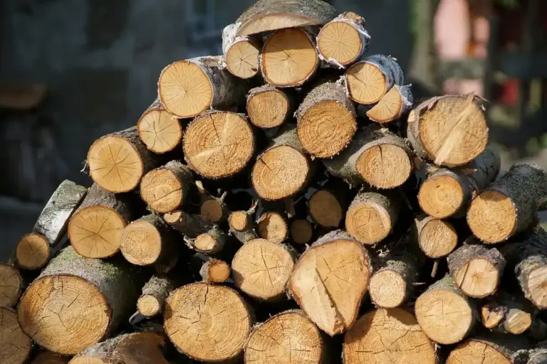Stack of freshly cut wooden logs piled together.