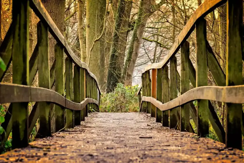 How Do You Treat Teak Wood to Preserve Its Oils and Stop the Gray?