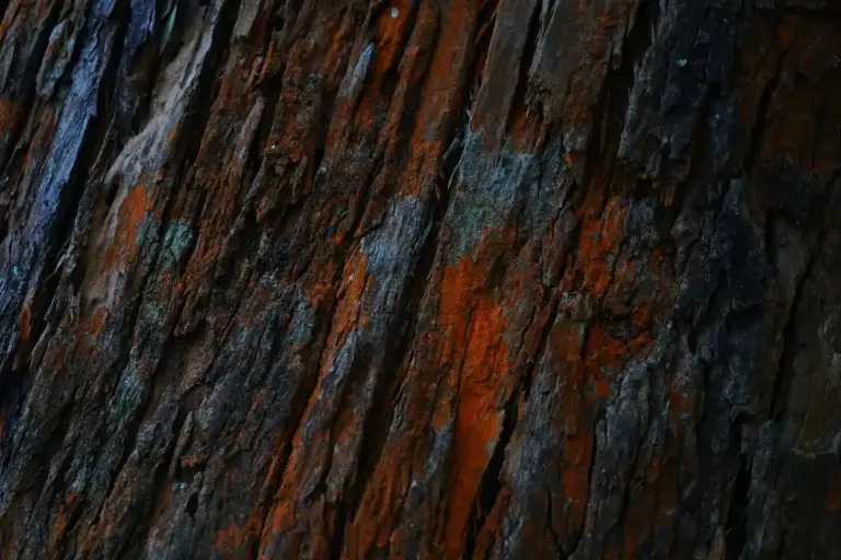 Close-up of teak wood surface displaying rich grain and warm color variations.