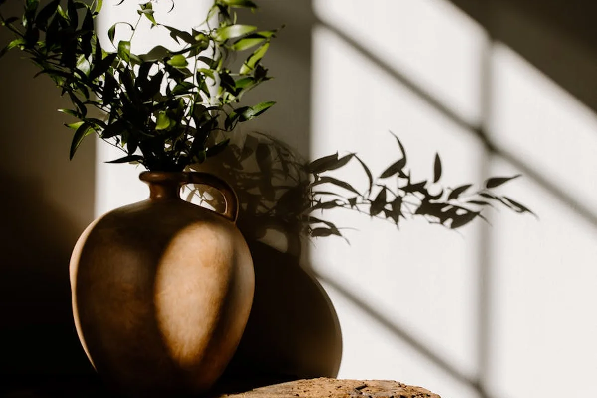 Brown ceramic vase with a leafy plant on a wooden surface, illuminated by sunlight coming through window blinds.