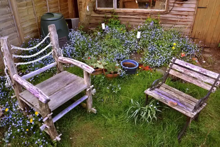 Two weathered wooden outdoor chairs in a garden with blooming flowers and a wooden shed in the background.