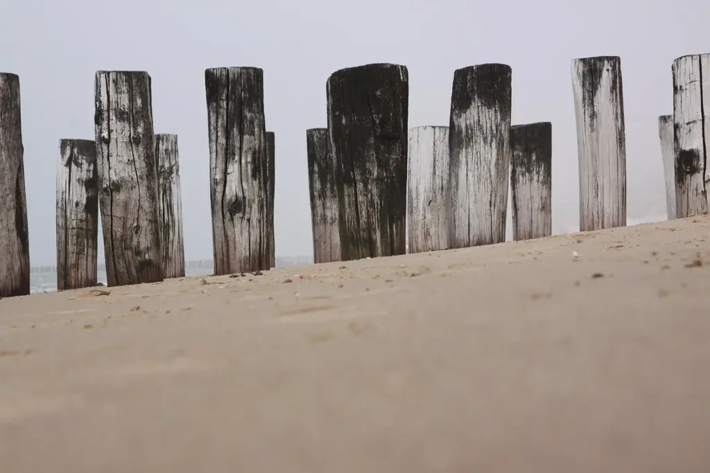 What Wood Preparation Techniques Ensure Perfect Stain Absorption and Finish?