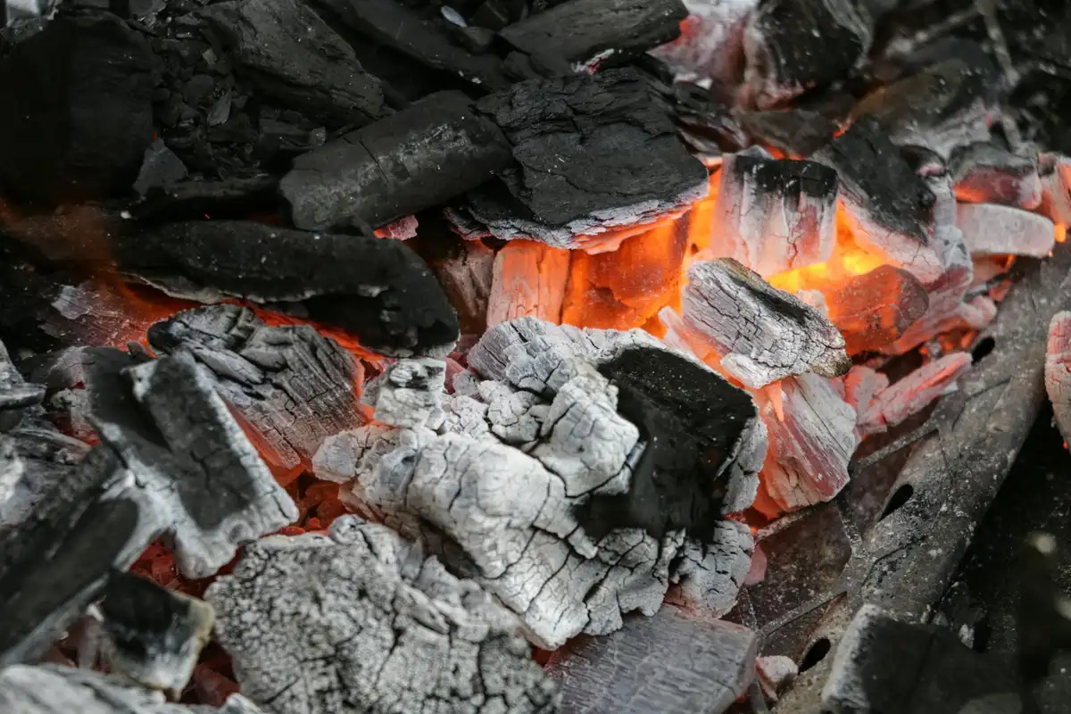 Close-up of smoldering wood with glowing embers and white ash.