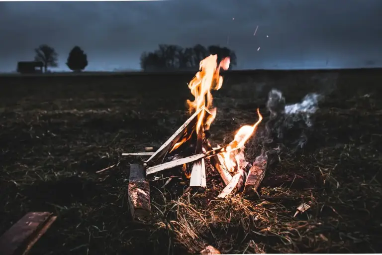 A small campfire built from split logs burning on a grassy field at dusk, with a dark, cloudy sky and distant silhouettes of trees.