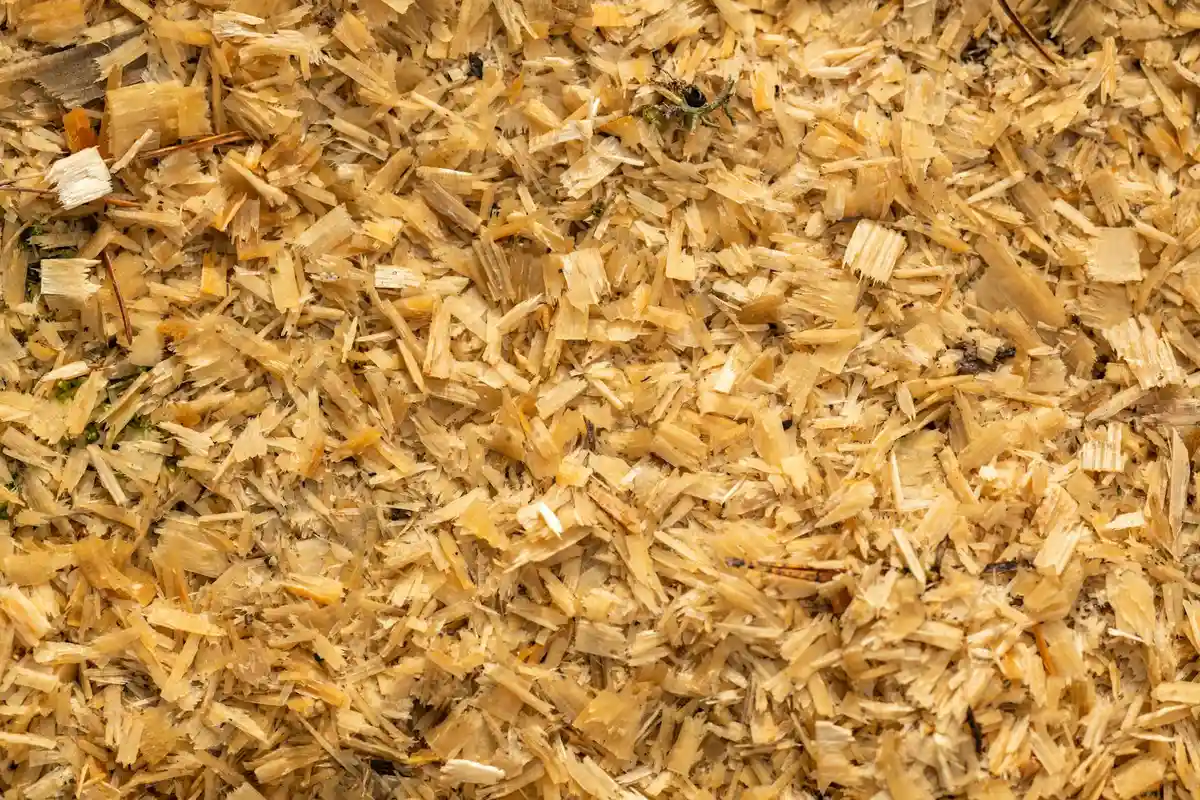 Close-up view of golden wood chips