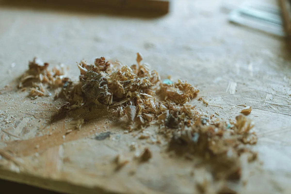 Close-up of wood shavings scattered on a weathered workshop workbench.
