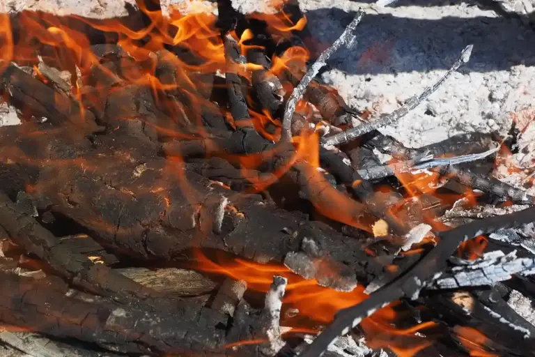 Close-up of bright orange flames and charcoal embers among burnt logs in a wood stove or fireplace