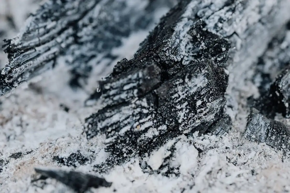 Close-up of dark charcoal-like wood ash with white powdery ash