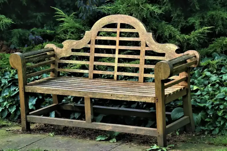 Weathered wooden garden bench with a decorative curved backrest, set among green shrubs.