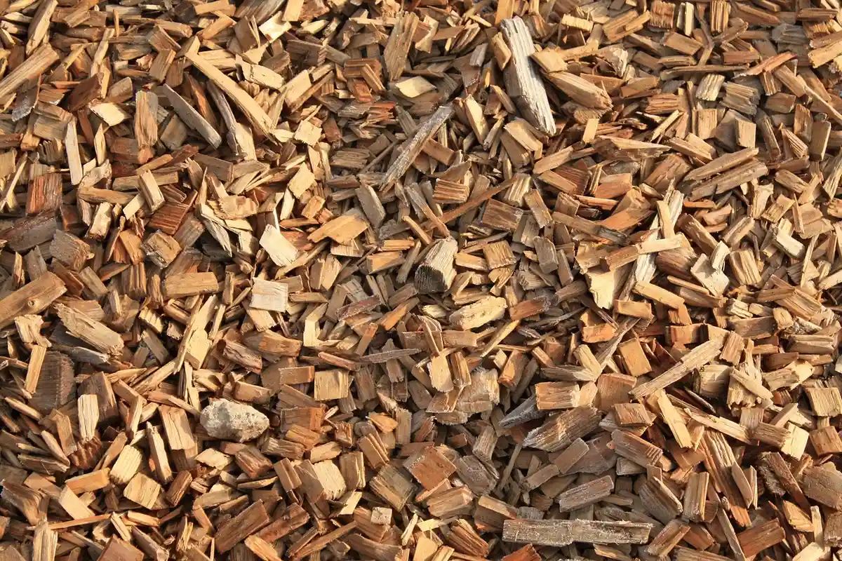 Close-up of a pile of small wood chips and shavings