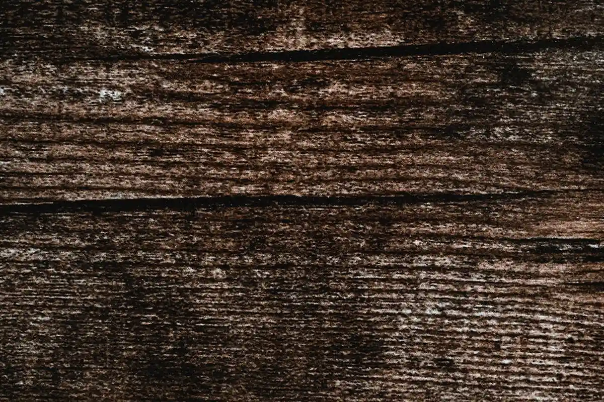 Close-up of dark wood grain showing pronounced lines and texture
