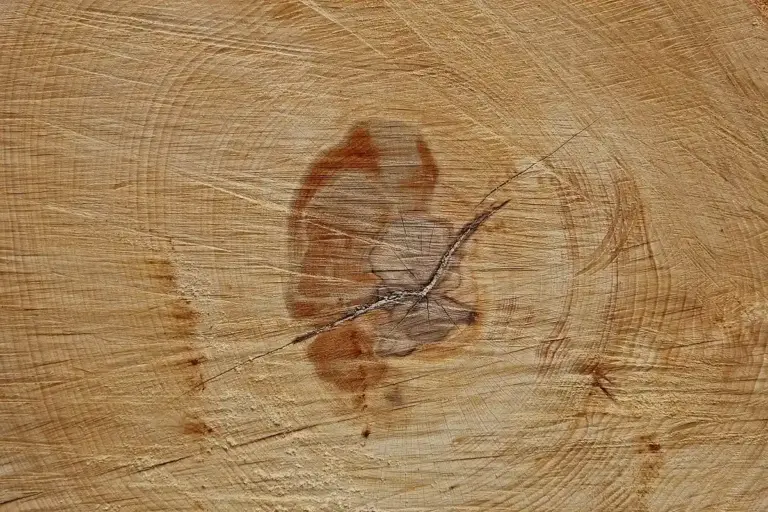 Close-up of a wooden surface showing a prominent crack and a knot, illustrating typical damage addressed by epoxy resin repair, Dutchmen, and butterfly keys.