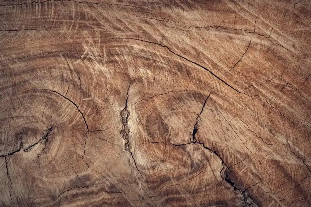 What’s the Best Wood Filler for Exterior Repairs? A Materials Science Comparison