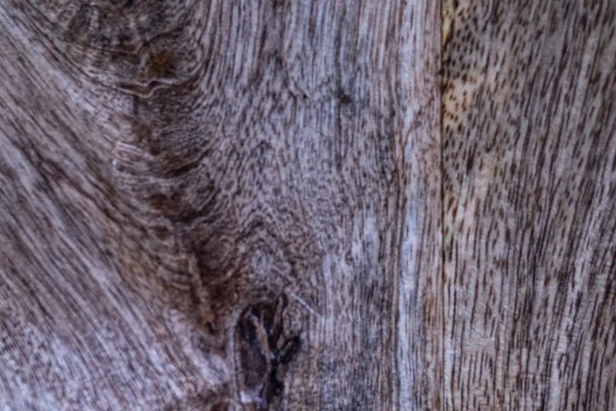 Close-up of weathered wood grain showing the texture of wood fibers for a compression vs. tension comparison in a workshop.