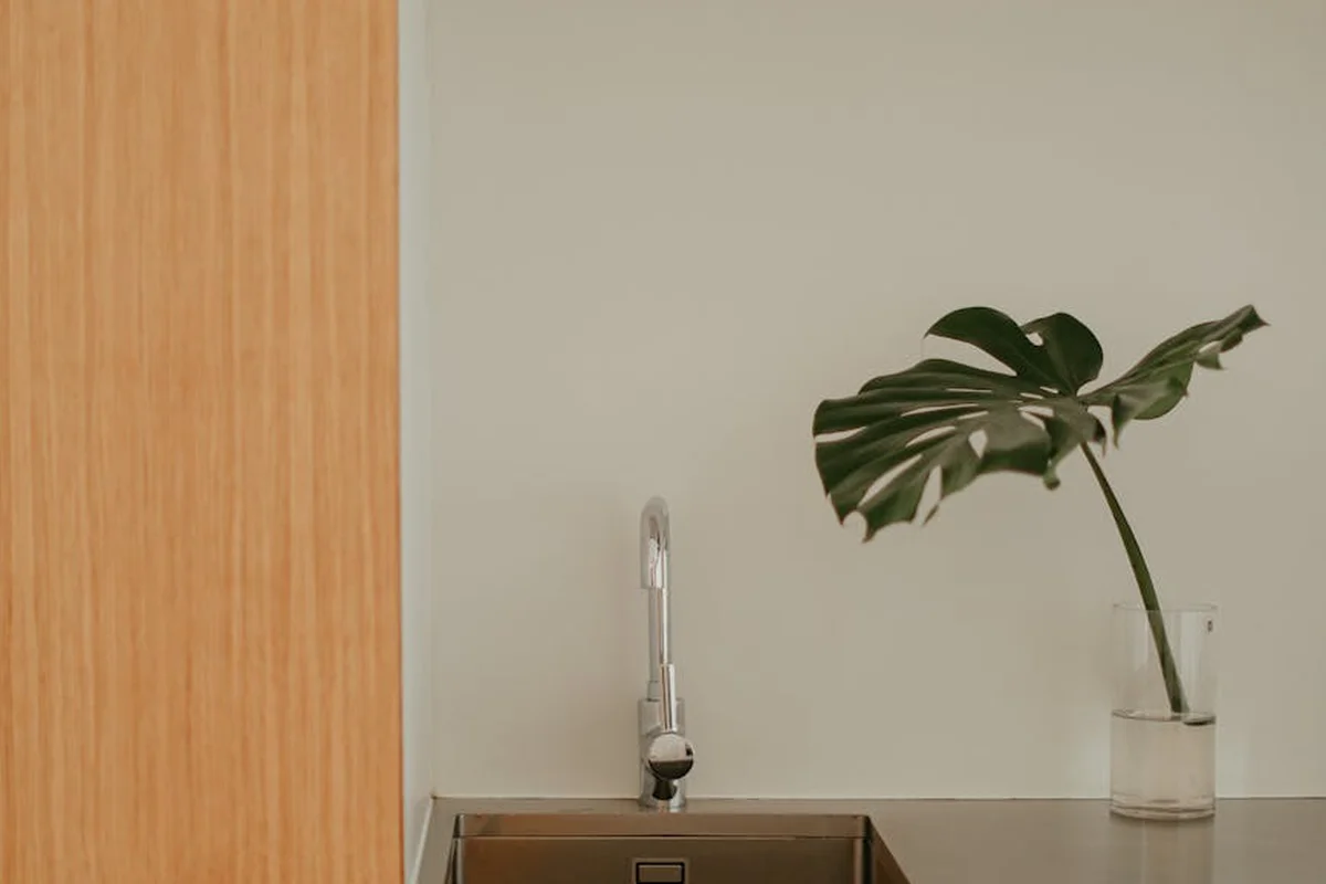 Minimalist workspace with a wooden countertop, a faucet on a sink, and a glass vase containing a monstera leaf against a pale wall.