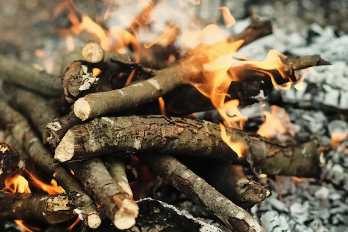 A pile of burning logs in a campfire with orange flames and glowing embers.