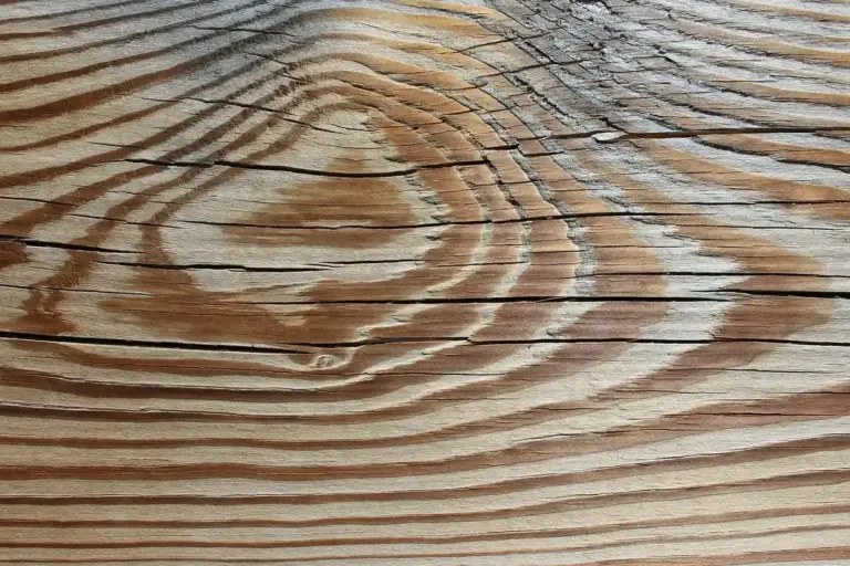 Close-up view of a wooden floor plank displaying pronounced grain patterns and light scratches, illustrating common surface wear.