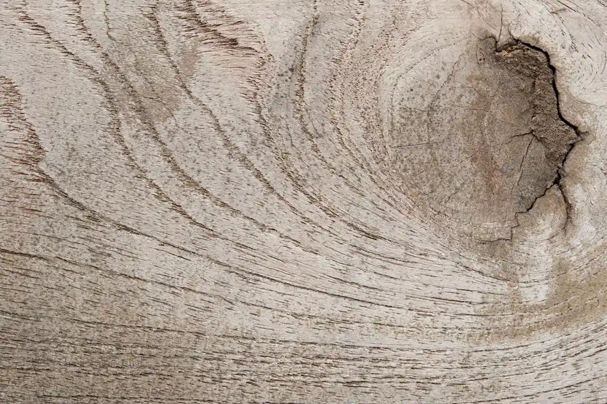 Close-up view of sun-bleached wood grain with a prominent knot