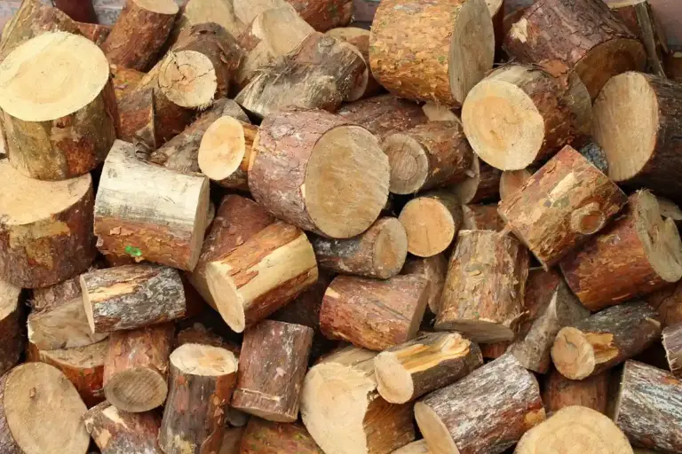 Pile of rough-cut log sections and rounds with bark, showing varied grain and color.