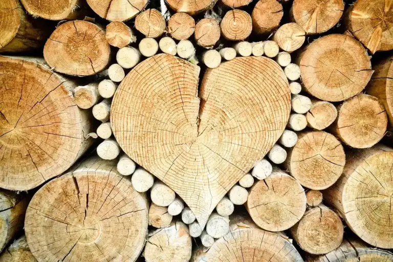 Heart-shaped centerpiece formed by a stack of cut logs in a woodpile, with visible tree rings and varying log diameters.